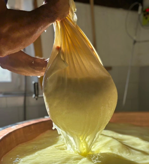 Tradicionalna izdelava sira na planini - Mlekarna Planika