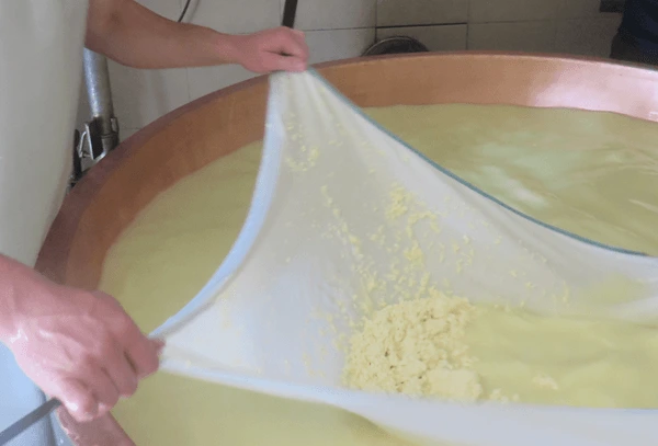 Tradicionalni način proizvodnje sira - Mlekarna Planika